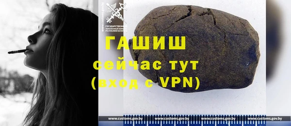 mix Инта