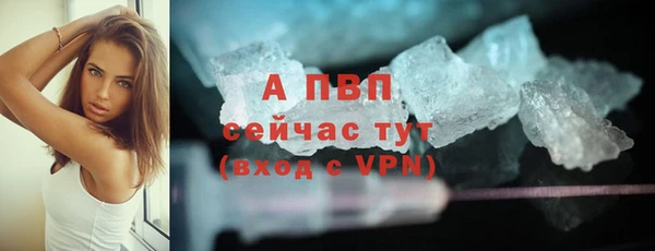 mix Инта