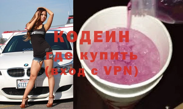 mix Инта