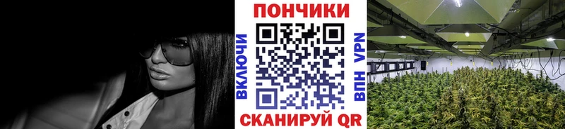 Купить где  Кремёнки  Бошки Шишки тримм 